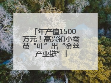 年产值1500万元！高兴镇小蚕茧“吐”出“金丝产业链”