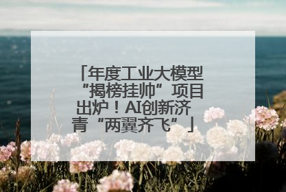 年度工业大模型“揭榜挂帅”项目出炉！AI创新济青“两翼齐飞”