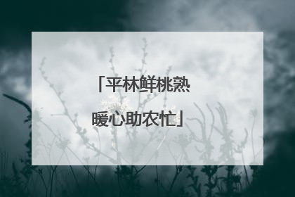 平林鲜桃熟 暖心助农忙