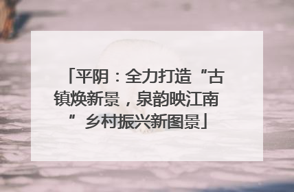 平阴：全力打造“古镇焕新景，泉韵映江南”乡村振兴新图景