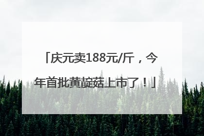 庆元卖188元/斤，今年首批黄靛菇上市了！