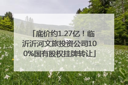 底价约1.27亿！临沂沂河文旅投资公司100%国有股权挂牌转让