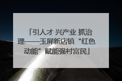 引人才 兴产业 抓治理——玉屏新店镇“红色动能”赋能强村富民