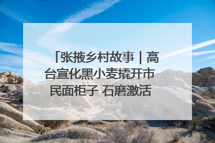 张掖乡村故事｜高台宣化黑小麦撬开市民面柜子 石磨激活村集体钱匣子