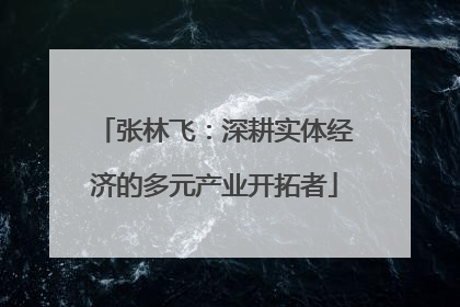 张林飞：深耕实体经济的多元产业开拓者
