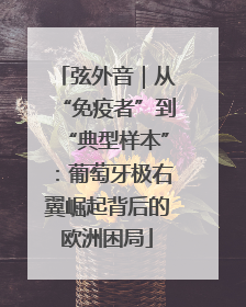 弦外音｜从“免疫者”到“典型样本”：葡萄牙极右翼崛起背后的欧洲困局