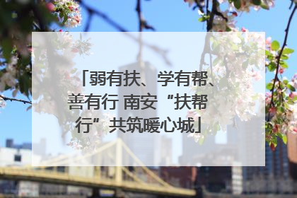 弱有扶、学有帮、善有行 南安“扶帮行”共筑暖心城