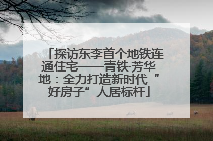 探访东李首个地铁连通住宅——青铁·芳华地：全力打造新时代“好房子”人居标杆