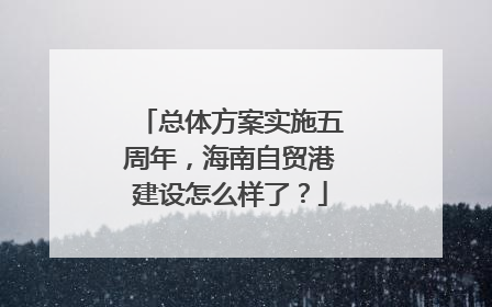 总体方案实施五周年，海南自贸港建设怎么样了？
