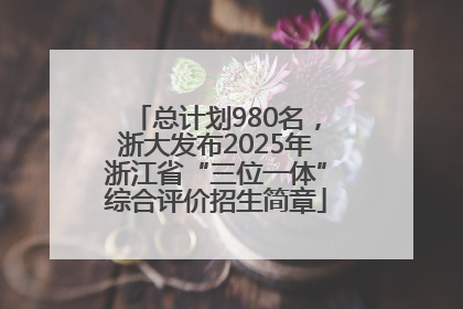 总计划980名，浙大发布2025年浙江省“三位一体”综合评价招生简章