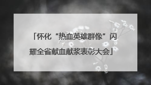 怀化“热血英雄群像”闪耀全省献血献浆表彰大会