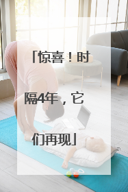 惊喜！时隔4年，它们再现
