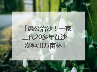 愚公治沙！一家三代20多年在沙漠种出万亩林