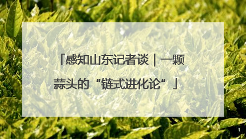 感知山东记者谈｜一颗蒜头的“链式进化论”