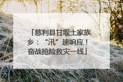 慈利县甘堰土家族乡：“汛”速响应！奋战抢险救灾一线