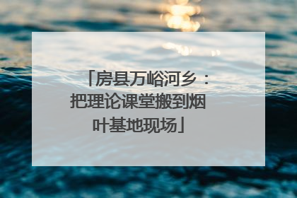 房县万峪河乡：把理论课堂搬到烟叶基地现场