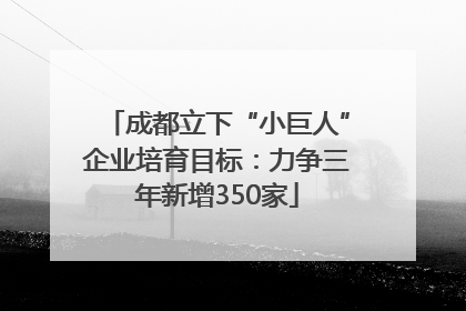 成都立下“小巨人”企业培育目标：力争三年新增350家