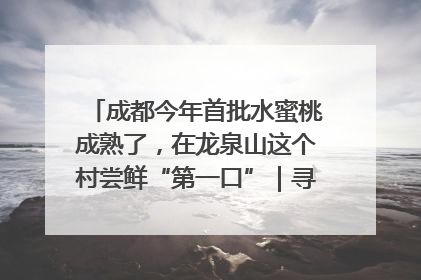 成都今年首批水蜜桃成熟了，在龙泉山这个村尝鲜“第一口”｜寻找和美乡村推荐官