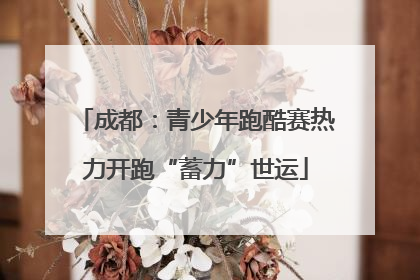 成都：青少年跑酷赛热力开跑“蓄力”世运