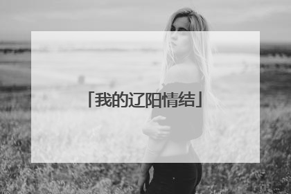 我的辽阳情结