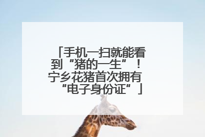 手机一扫就能看到“猪的一生”！宁乡花猪首次拥有“电子身份证”