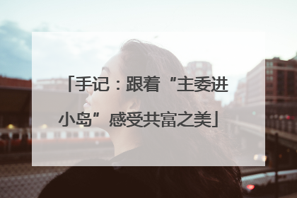 手记：跟着“主委进小岛”感受共富之美