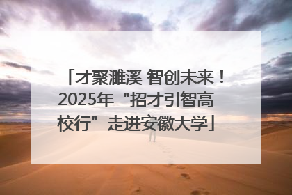 才聚濉溪 智创未来！2025年“招才引智高校行”走进安徽大学