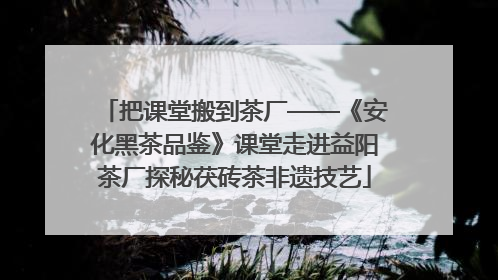 把课堂搬到茶厂——《安化黑茶品鉴》课堂走进益阳茶厂探秘茯砖茶非遗技艺