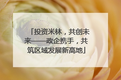 投资米林，共创未来——政企携手，共筑区域发展新高地