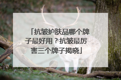 抗皱护肤品哪个牌子最好用？抗皱最厉害三个牌子揭晓