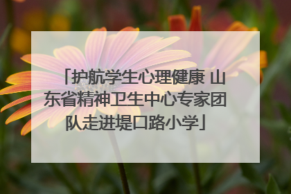护航学生心理健康 山东省精神卫生中心专家团队走进堤口路小学
