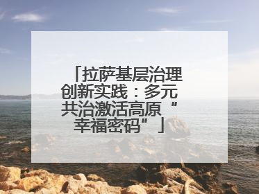 拉萨基层治理创新实践：多元共治激活高原“幸福密码”