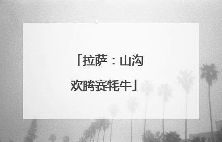 拉萨：山沟欢腾赛牦牛