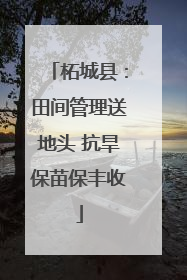 柘城县：田间管理送地头 抗旱保苗保丰收