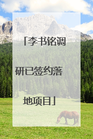 李书铭调研已签约落地项目