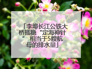 李埠长江公铁大桥插稳“定海神针” 相当于5艘航母的排水量