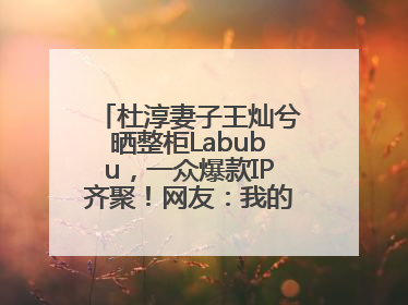 杜淳妻子王灿兮晒整柜Labubu，一众爆款IP齐聚！网友：我的 “梦中情柜”