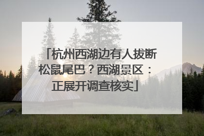 杭州西湖边有人拔断松鼠尾巴？西湖景区：正展开调查核实