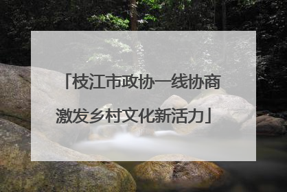 枝江市政协一线协商激发乡村文化新活力