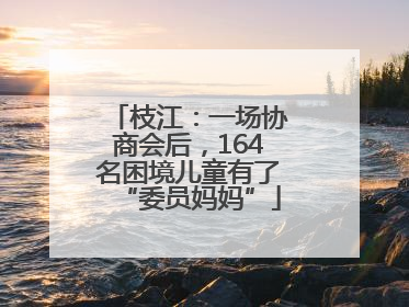 枝江：一场协商会后，164名困境儿童有了“委员妈妈”