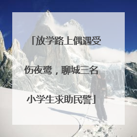 放学路上偶遇受伤夜鹭，聊城三名小学生求助民警
