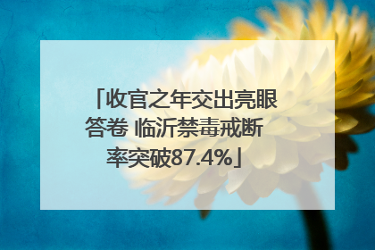 收官之年交出亮眼答卷 临沂禁毒戒断率突破87.4%