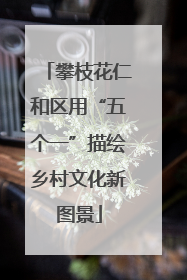 攀枝花仁和区用“五个一”描绘乡村文化新图景