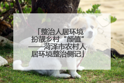 整治人居环境 扮靓乡村“颜值”——菏泽市农村人居环境整治侧记