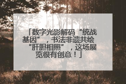 数字光影解码“统战基因”，书法非遗共绘“肝胆相照”，这场展览很有创意！