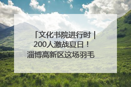 文化书院进行时｜200人激战夏日！淄博高新区这场羽毛球比赛太酷