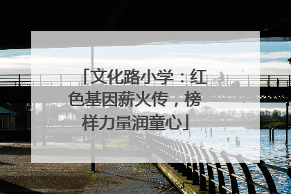 文化路小学：红色基因薪火传，榜样力量润童心