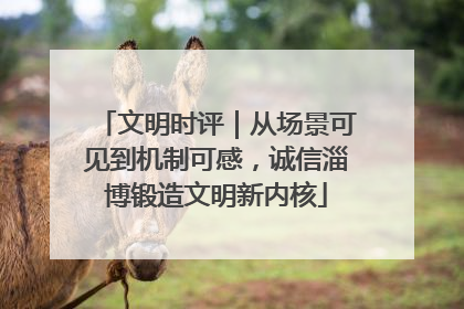 文明时评｜从场景可见到机制可感，诚信淄博锻造文明新内核