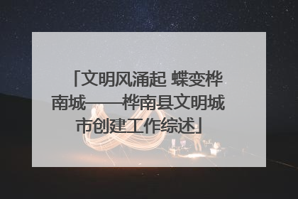 文明风涌起 蝶变桦南城——桦南县文明城市创建工作综述