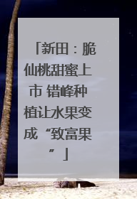 新田：脆仙桃甜蜜上市 错峰种植让水果变成“致富果”